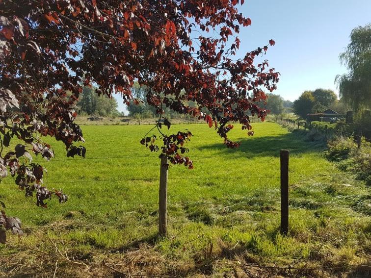 Holiday home De Goeferdij Vakantiewoning *